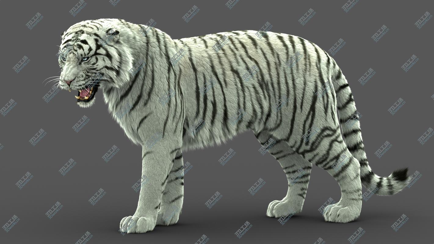 images/goods_img/20210115/Brachiosaurus model/2.jpg